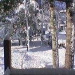 Meet your Posher, Kimberlee